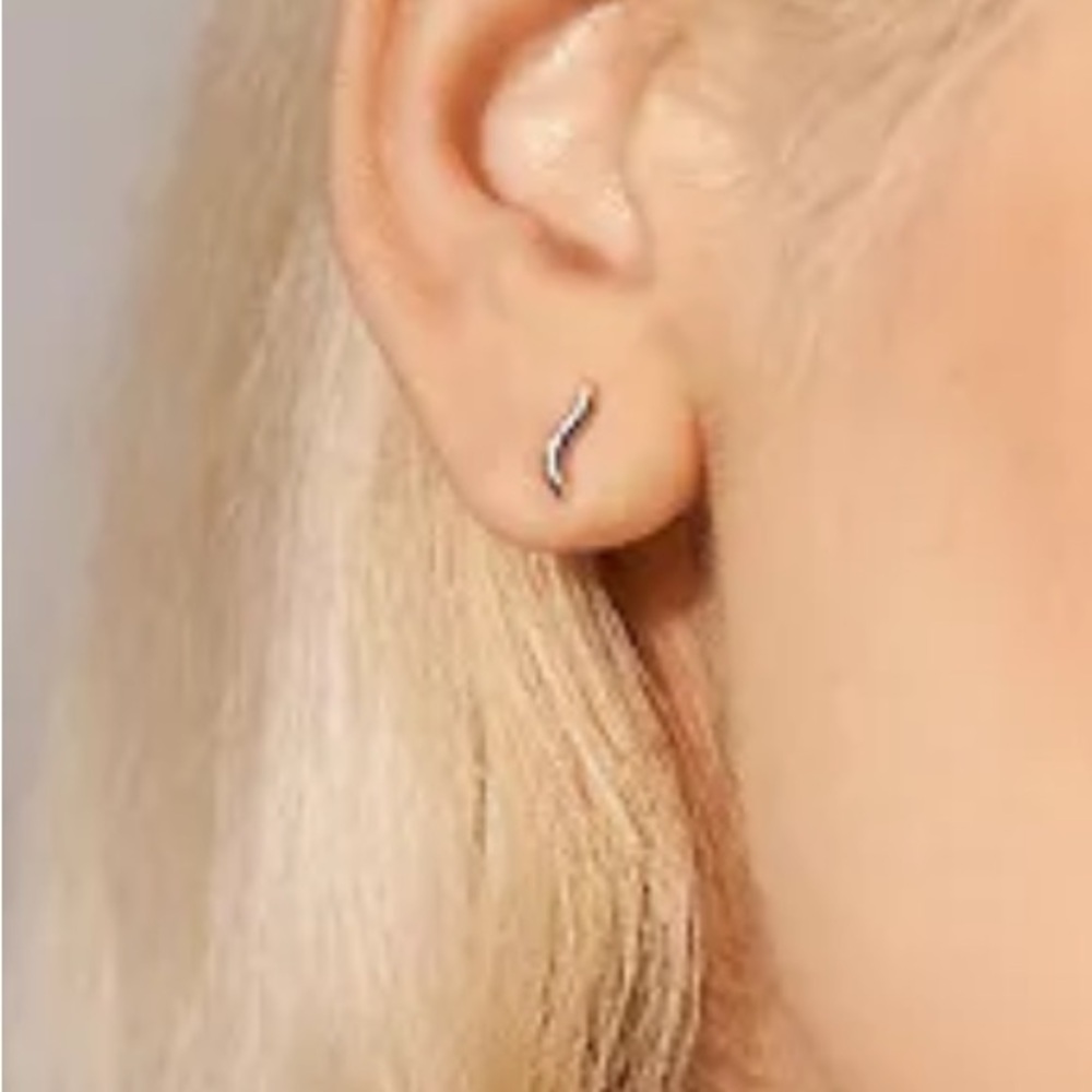 Skagen Denmark: Kariana Waves Stainless Steel Stud Earrings (sold out online)